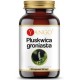 Yango Pluskwica Groniasta 390mg 90kaps.