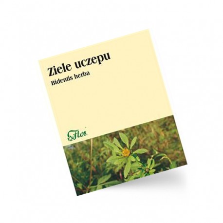 Uczep ziele 50 g Flos