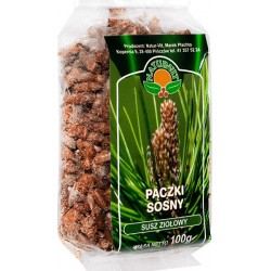 SOSNA PĄCZKI - 100g Natura Wita