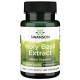 Tulsi Ekstrakt-Holy Basil Extract 400mg - 60 vcaps Swanson Święta Bazylia
