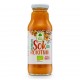 Sok z rokitnika EKO 270 ml Dary Natury