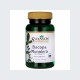 Bacopa Monniera 10:1 Extract 50mg 90kaps. Swanson